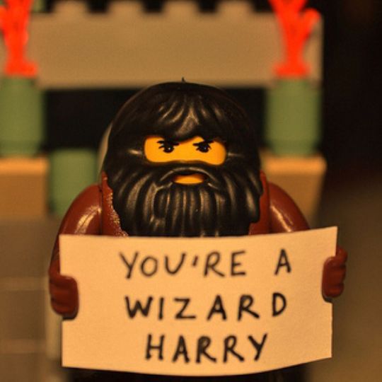 Lego Rubeus Hagrid holds a sign saying: You're a wizard Harry